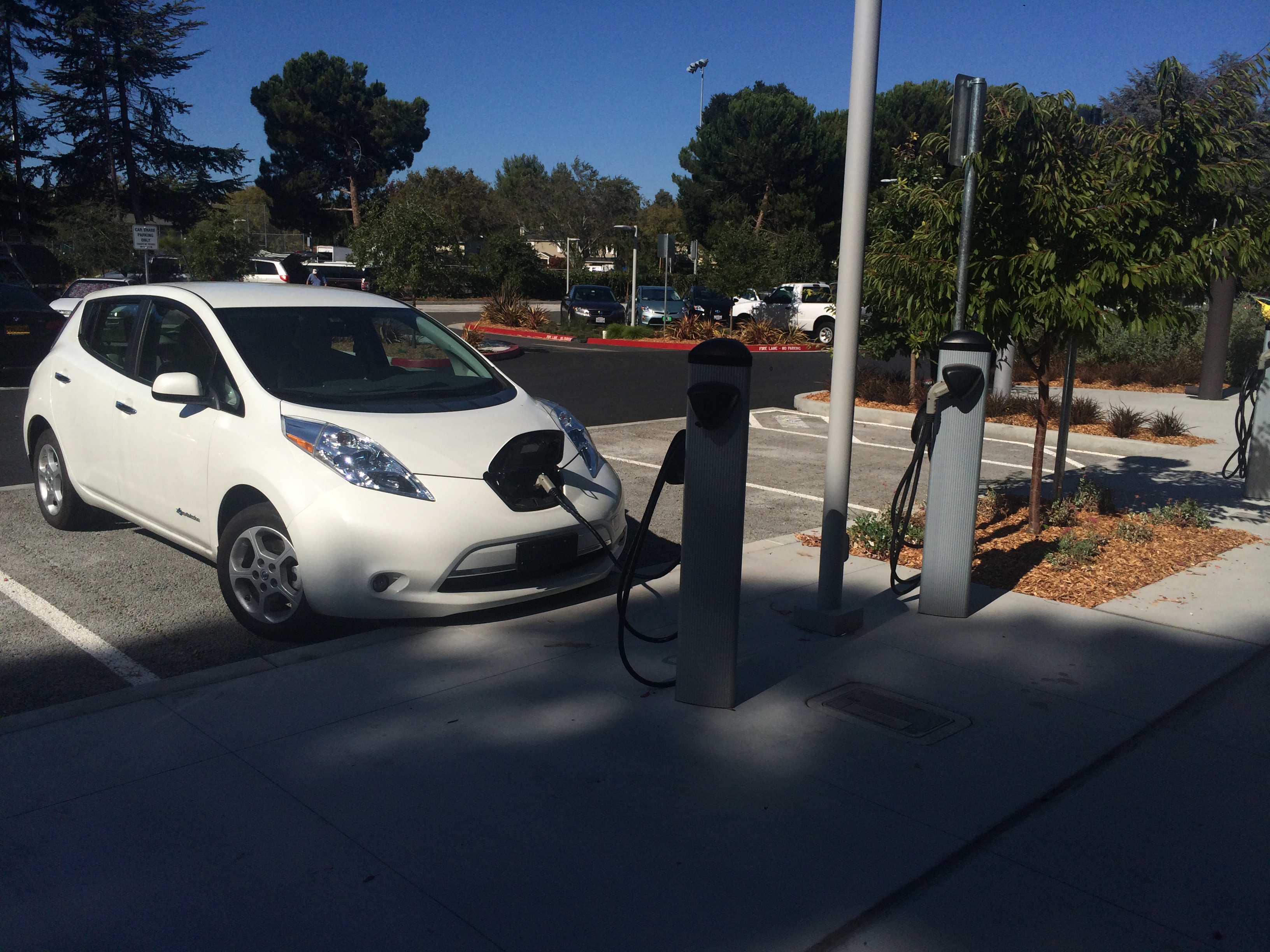 electric car charging at Mitchell Park photo by Lydia Barry