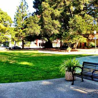 Cogswell Plaza has free wifi provided by the City of Palo Alto